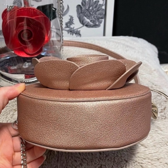 Disney x Danielle Nicole Rose Gold Rose Crossbody Bag NWOT Beauty & the Beast - Picture 6 of 8